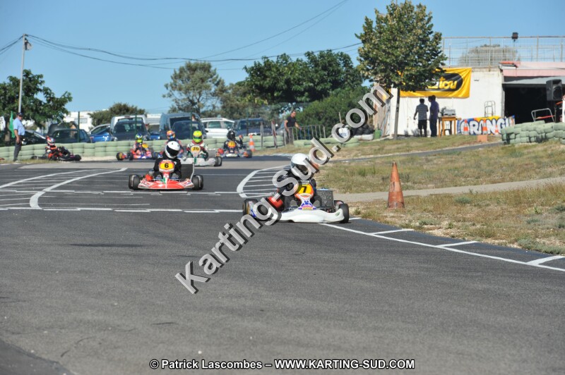 DSC (2646).JPG